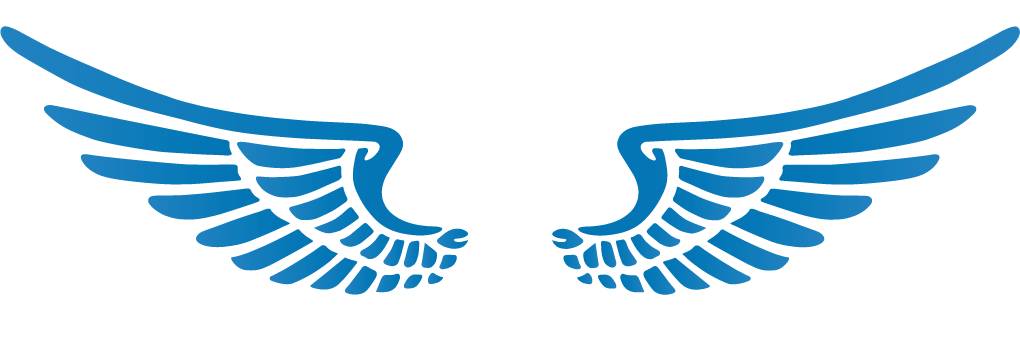 LOGO PFI SAT Sécurité au Travail - Distributeur EPI & Organisme de Formation Agrée