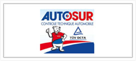 AutoSUR